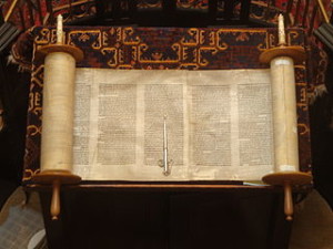 The Torah has remarkably many insights for science.